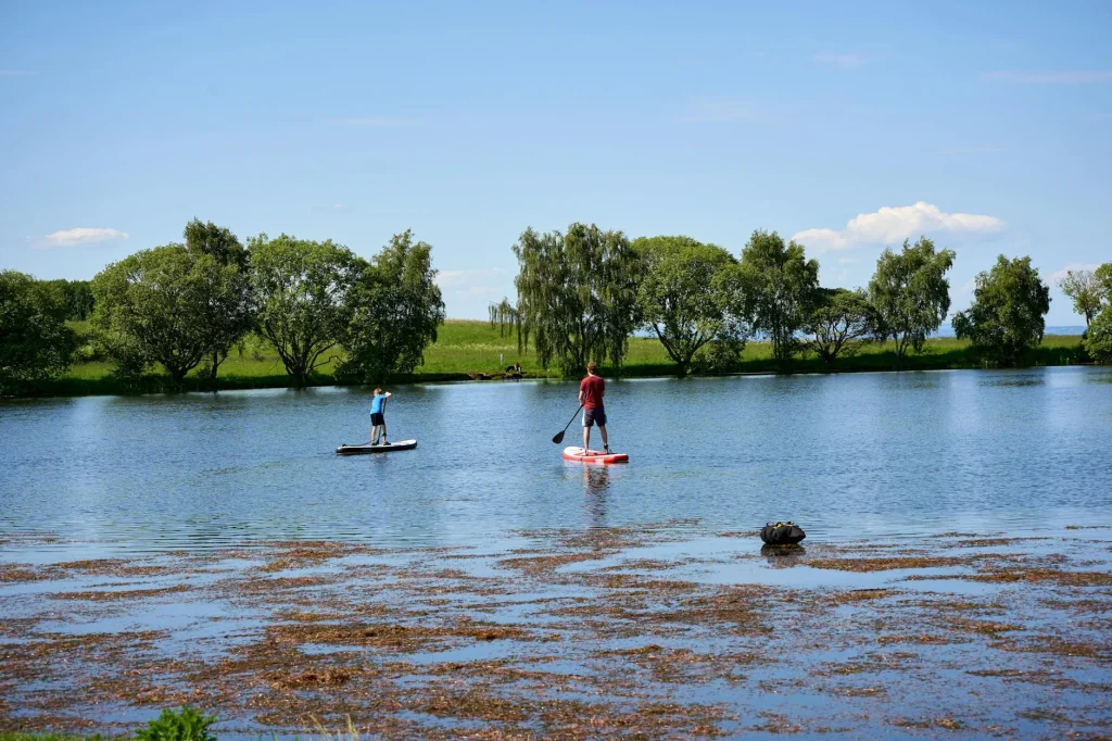 Close-up of different paddle materials and construction