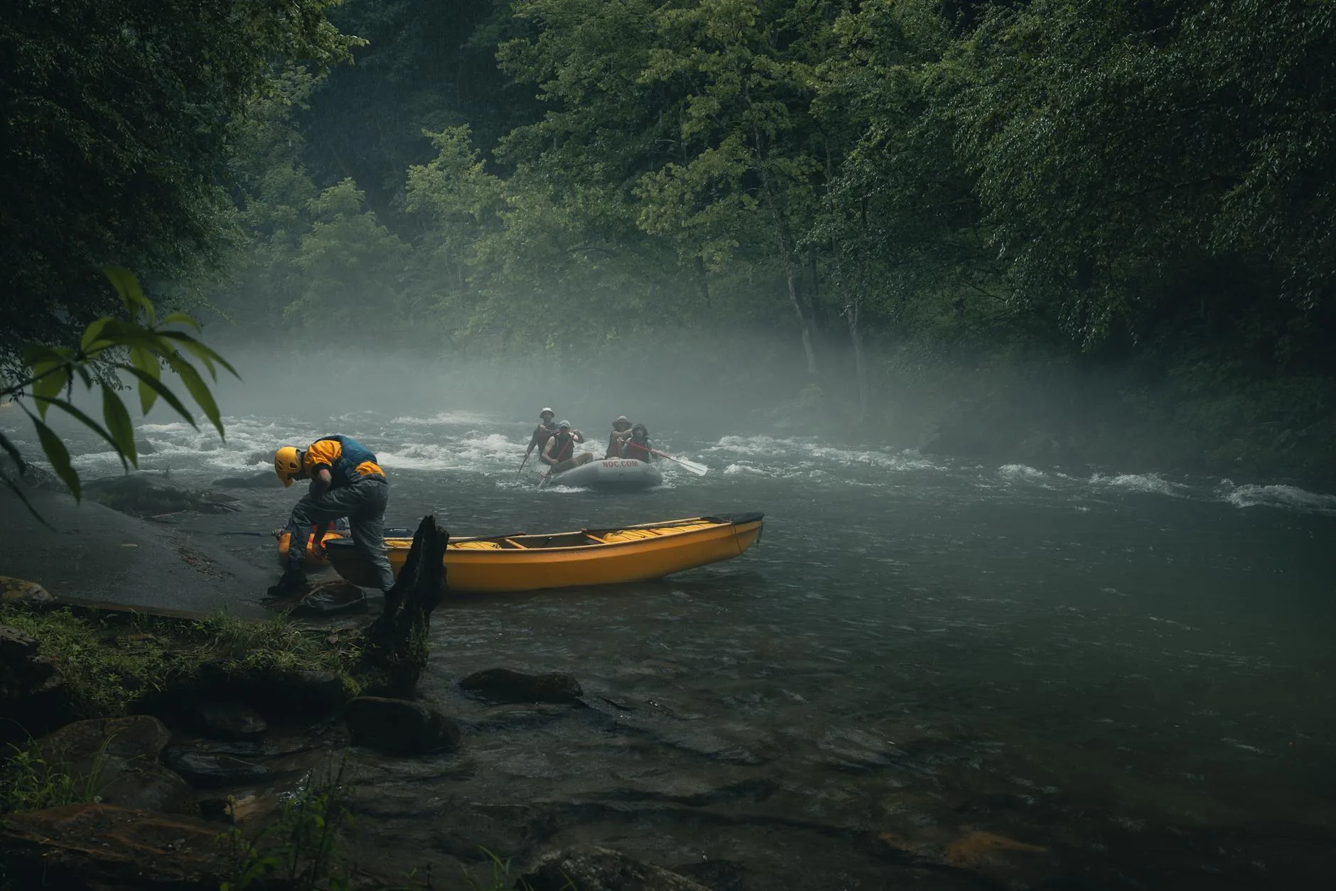 Paddlers on a misty river surrounded by forest