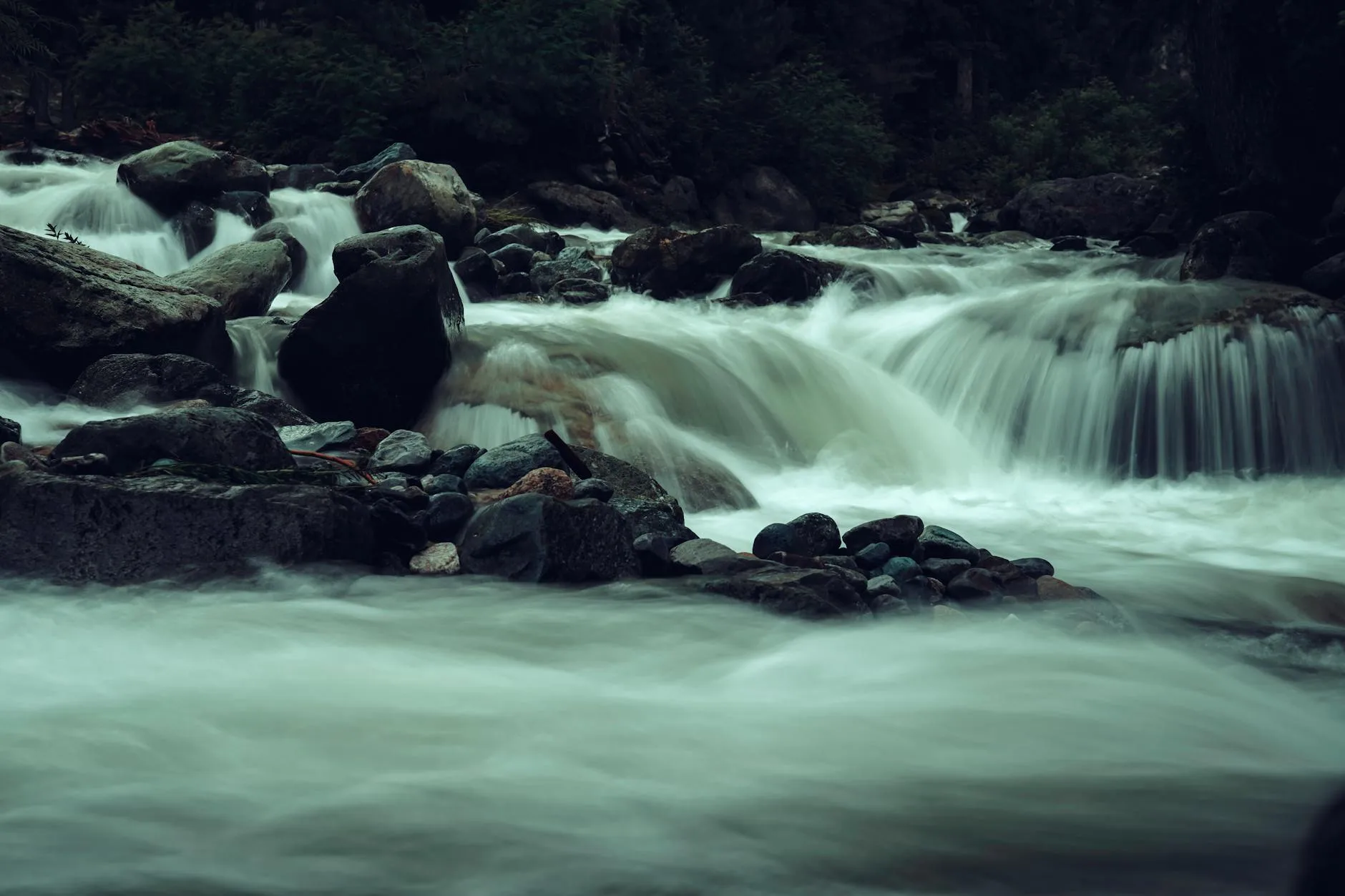 River rapids flowing over rocks in a natural setting