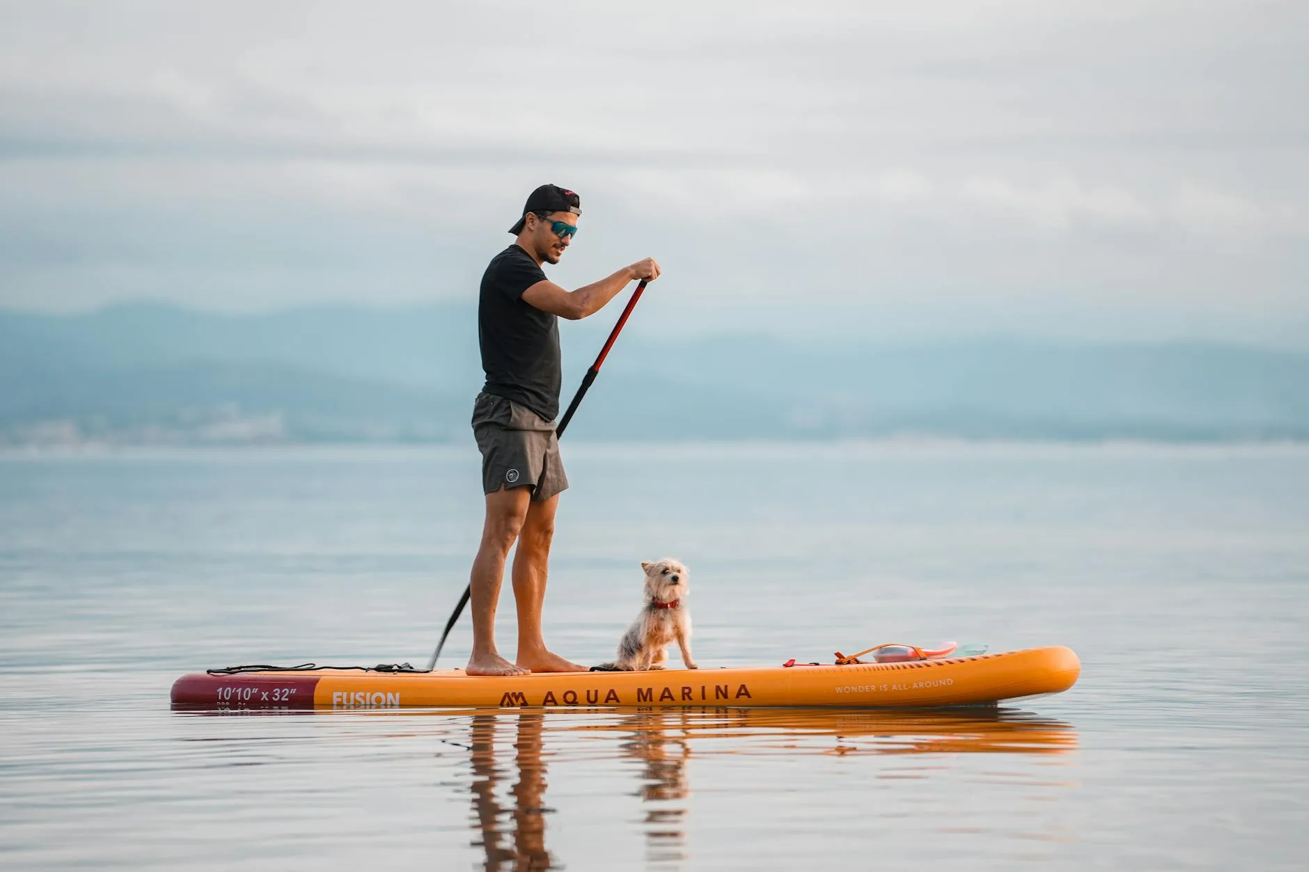 Family paddleboarding with a dog on the water
