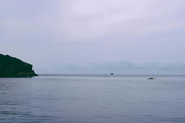 Paddles Oars