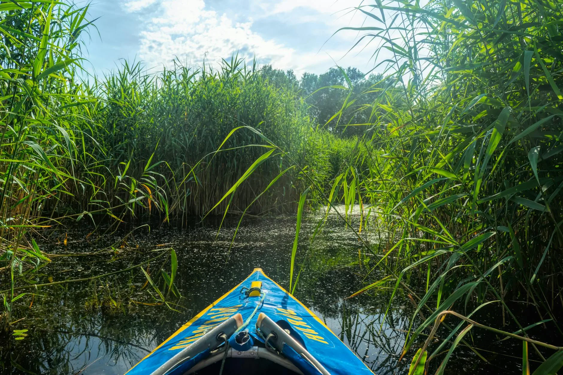 Kayaker paddling on a scenic river