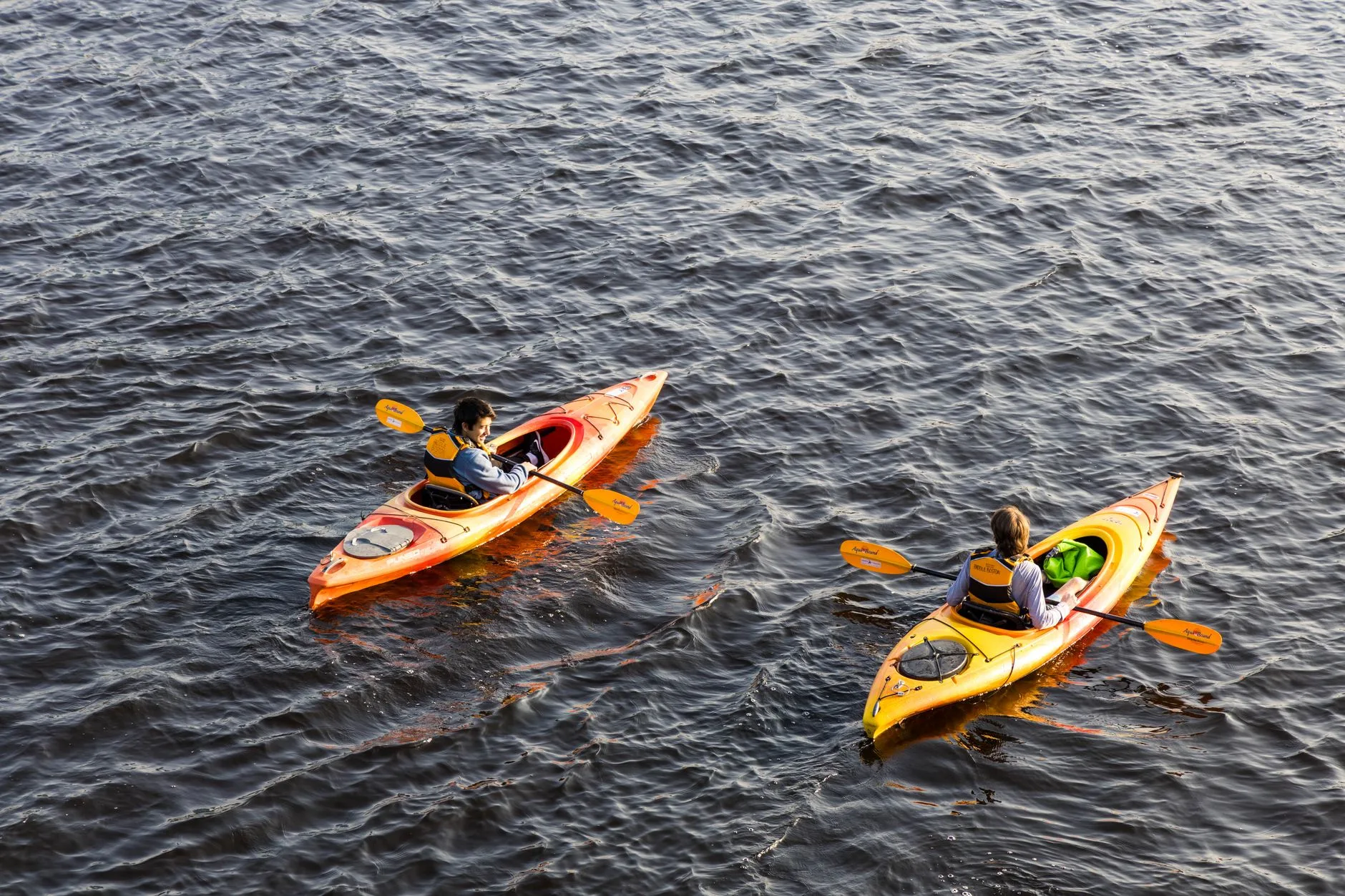 Kayak safety kit with buoyancy aid and paddle ready for a trip