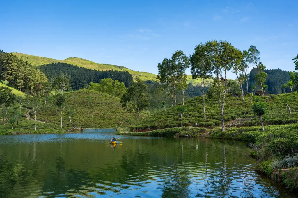 Kayaker wearing a buoyancy aid on a calm lake