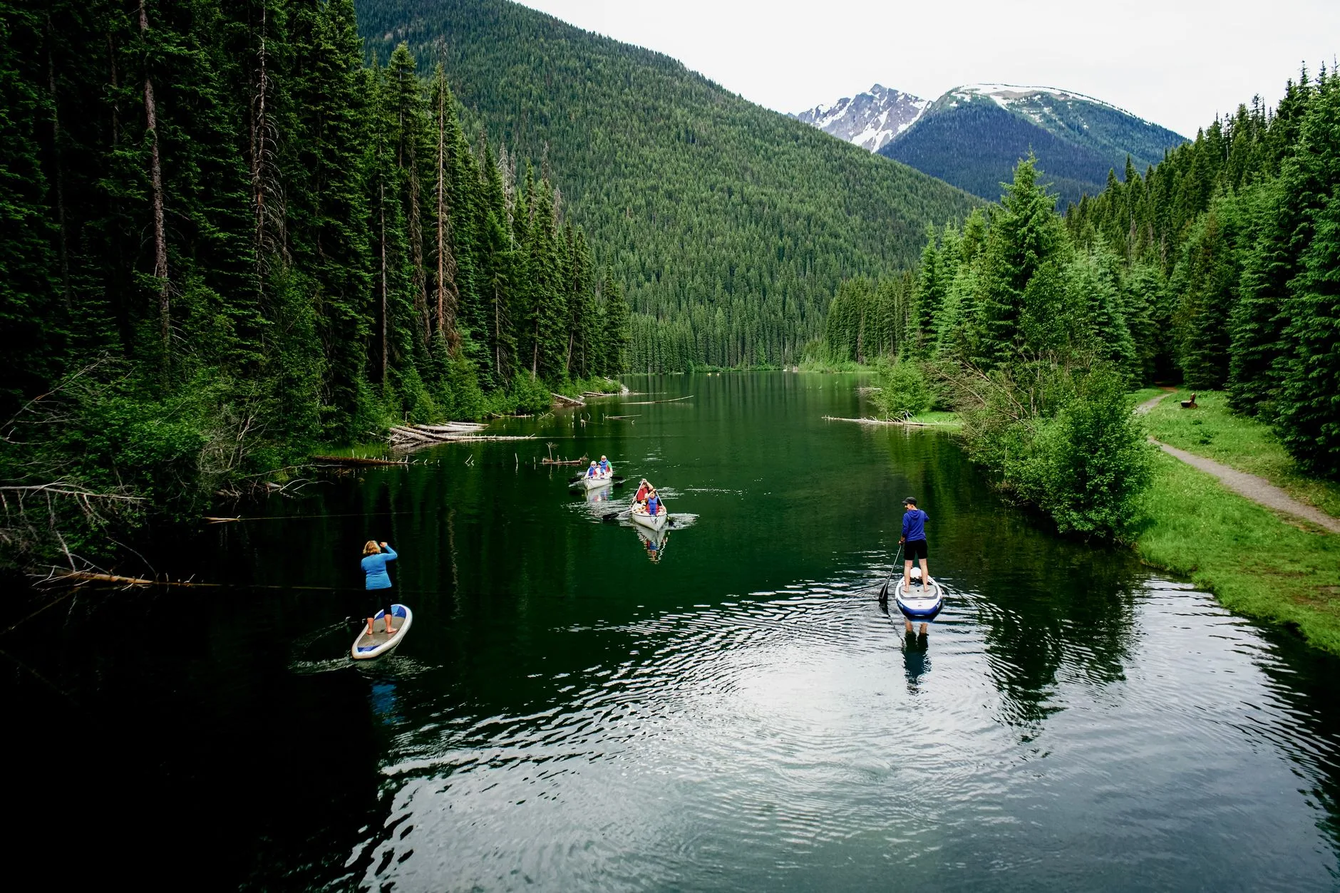 Stand up paddleboard on calm river water near trees